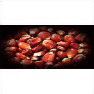 Red Maize
