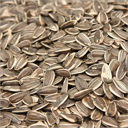 Sunflower Seeds - Premium Quality, Fresh and Pure | Tempting Aroma, Pungent Taste, Medicinal Properties