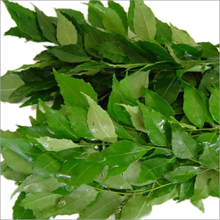 Curry Leaves