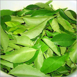 Curry Leaves