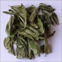 Curry Leaves