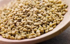 Fenugreek Seed