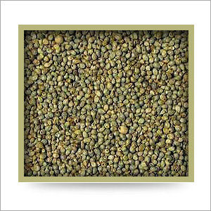 Green Millet