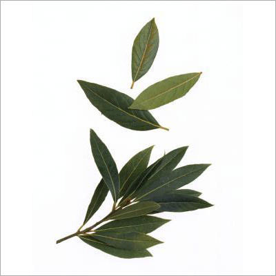 Natural Bay Leaves