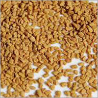 Organic Fenugreek Seeds