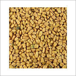 Organic Fenugreek Seeds