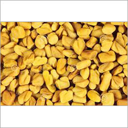 Yellow Fenugreek Seeds