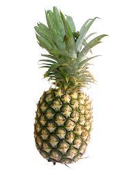 PINEAPPLE