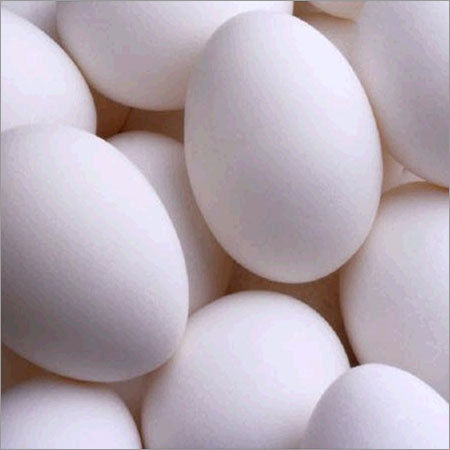 Poultry Table Eggs