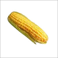 Corn