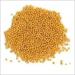 Hulled Sesame Seeds - Natural and Pure | Fresh, Rich Flavor, Longer Shelf Life, Supreme Grade Packaging