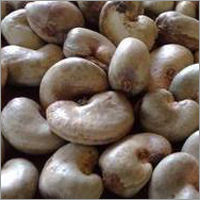 Raw Cashew Nuts