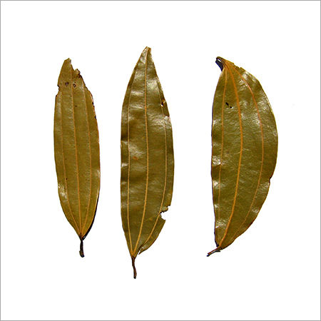 Bay Leaf