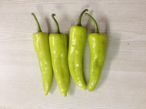 Indian Chilly Seeds - Premium Quality Packing for Optimal Freshness | Rich Nutrients, Spicy Flavor, Expertly Packaged