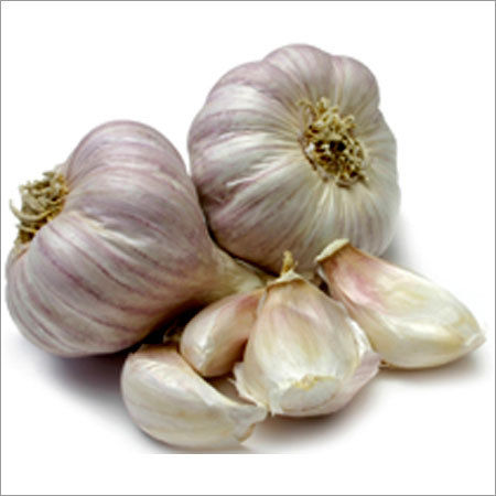 Available In Different Color Fresh Garlic