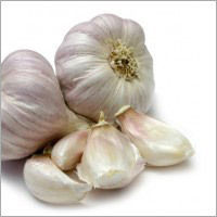 Fresh Garlic