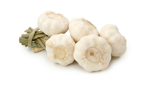 Available In Different Color Fresh Garlic