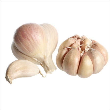 Fresh Garlic