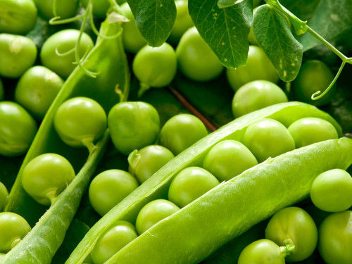 Green Peas