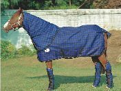 Horse Blankets