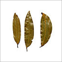 Indian Bay Leaf