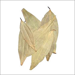 Indian Bay Leaf