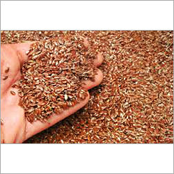 Organic Brown Flax Seeds