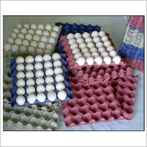 Paper Pulp Egg Tray