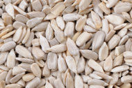 Pumpkin Seeds