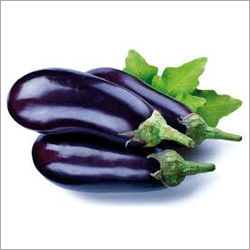 Black Brinjal