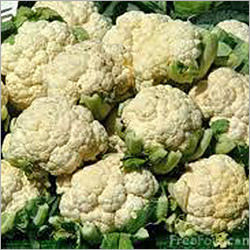 Cauliflower