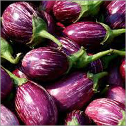 Fresh Brinjals - Naturally Grown, Pest Free Quality | Rich in Vitamins, Long Shelf Life