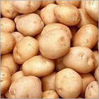 Fresh Farm Potato