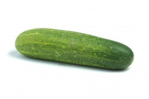 Fresh Green Cucumber