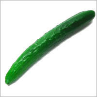 Fresh Green Cucumber