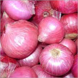 Fresh Red Onion