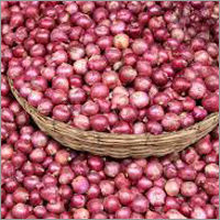 Fresh Red Onion