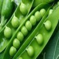 Frozen Green Peas