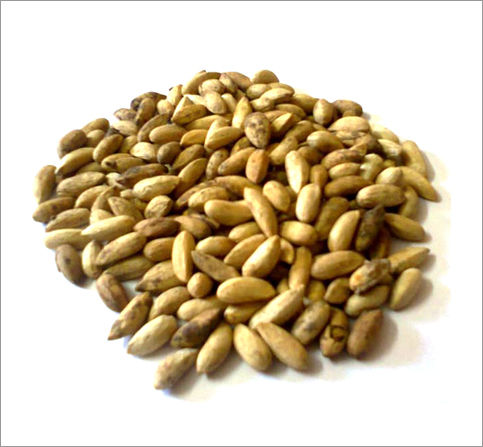 Neem Seeds