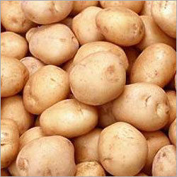 Fresh Potatoes - 5-6cm Size Options, Yellow Color | Nutrient-Rich, Air-Tight Packaging, Long Shelf Life