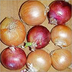 Red Onion