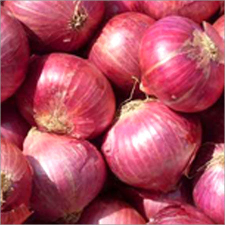 Red Onion