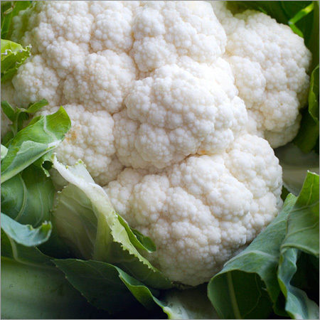 White Cauliflower