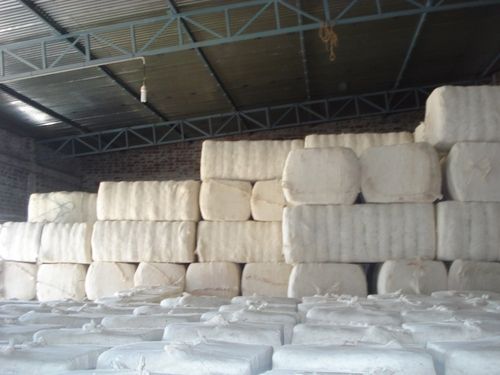 Organic Cotton Bales