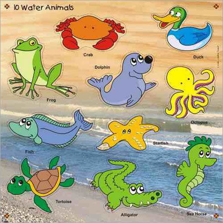 Water Animals Games