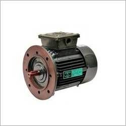 Vertical Three Phase Motors