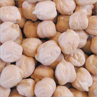 Washable White Chickpeas