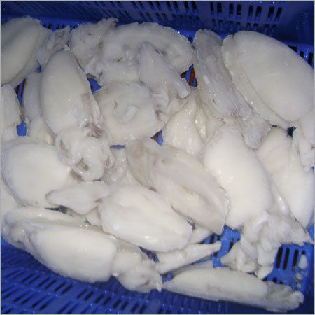 Frozen Cleaned Cuttlefish