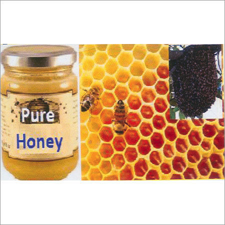 Organic Pure Honey