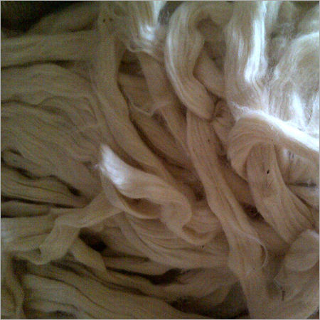 Raw Organic Cotton
